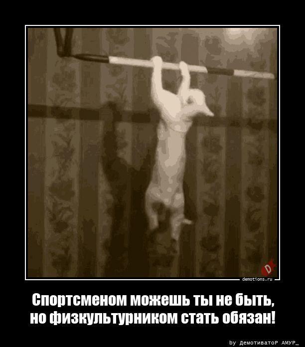 ������������ ������������ (16 ����)