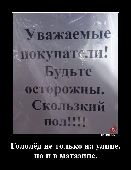 ������������ ������������ (16 ����)