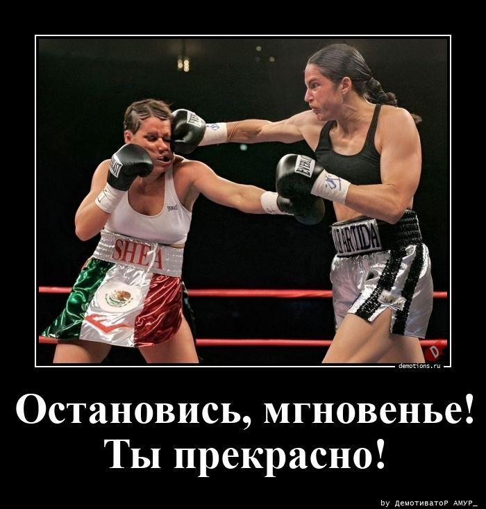 ������������ ������������ (16 ����)