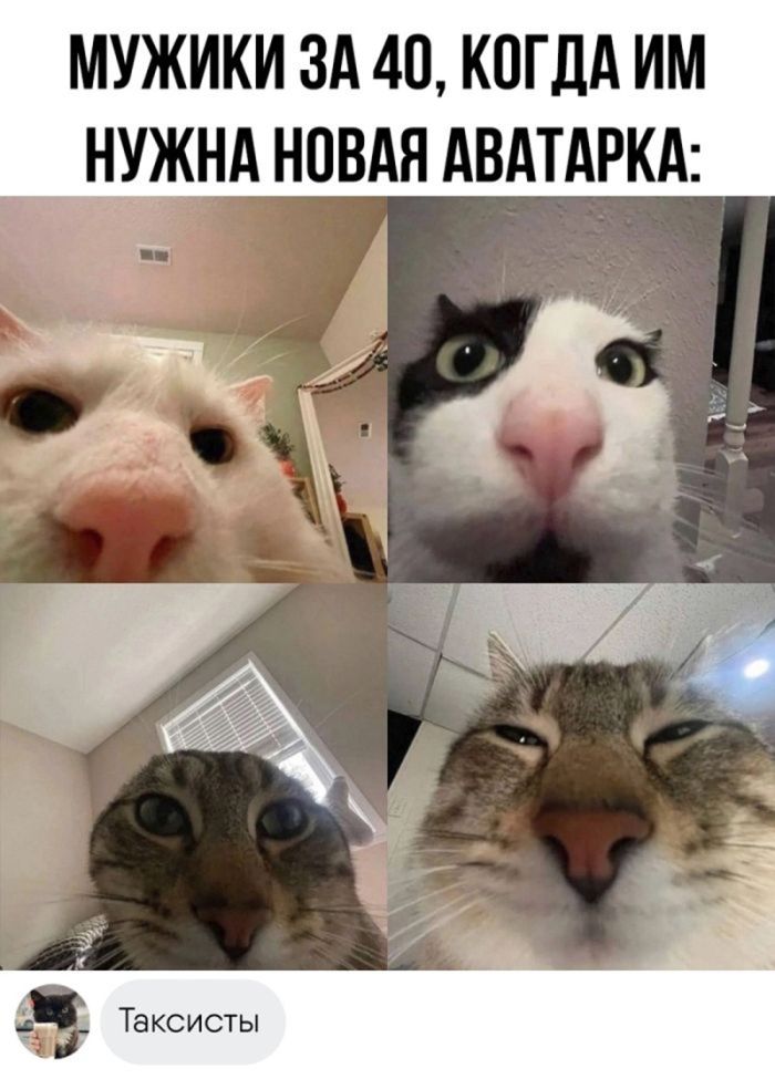 ������� ������� ����� � �������� (30 ����)