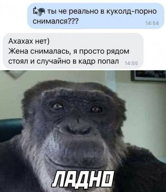 ������� ������� ����� � �������� (30 ����)