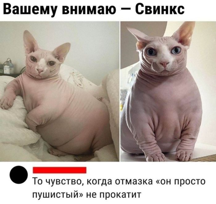 ������� ������� ����� � �������� (30 ����)