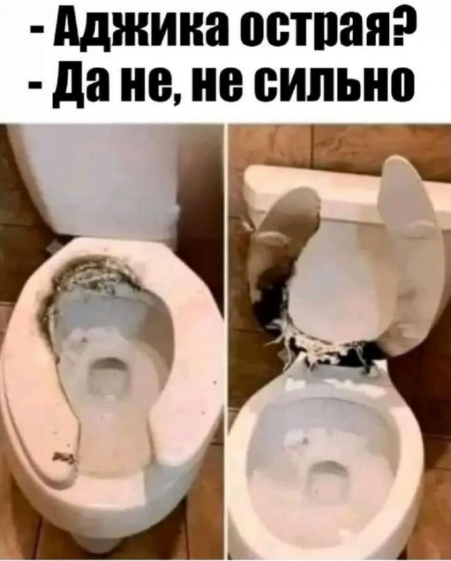 ������� ������� ����� � �������� (30 ����)
