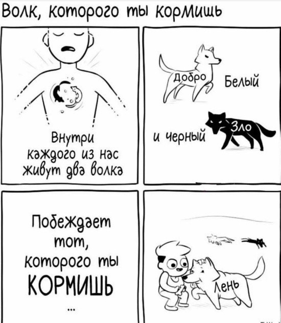 ������� ������� ����� � �������� (30 ����)