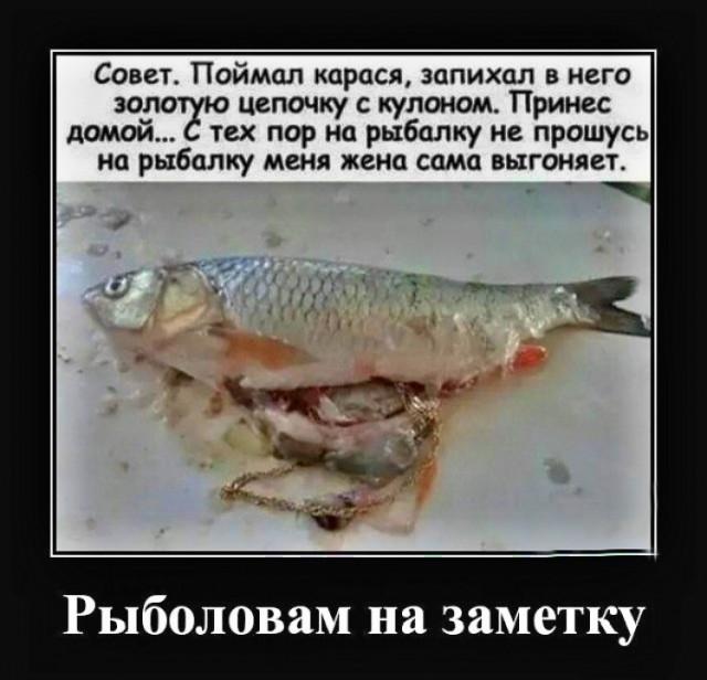 ������������ �������� (15 ����)