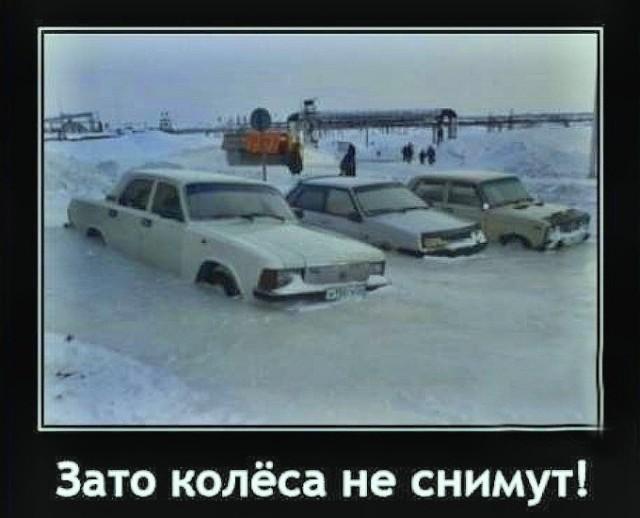 ������������ �������� (15 ����)