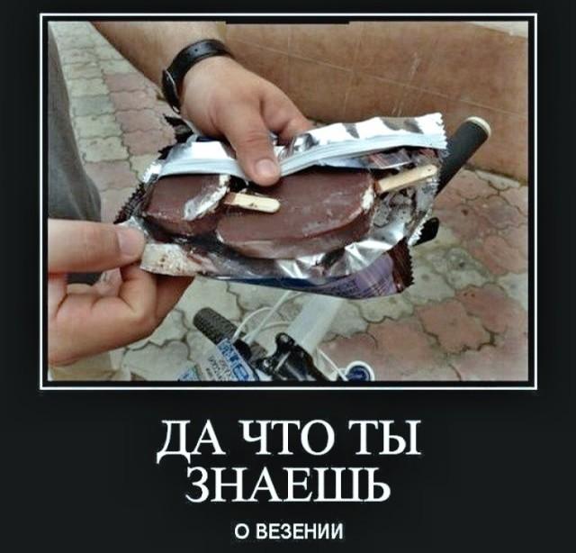 ������������ �������� (15 ����)