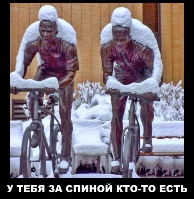 ������������ �������� (15 ����)