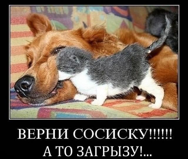 ������������ �������� (15 ����)