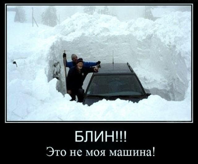 ������������ �������� (15 ����)