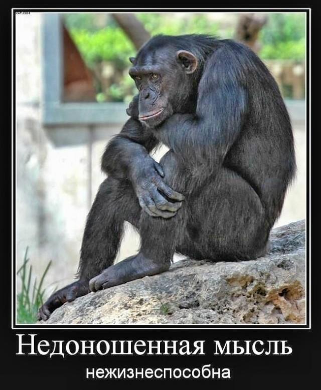 ������������ �������� (15 ����)