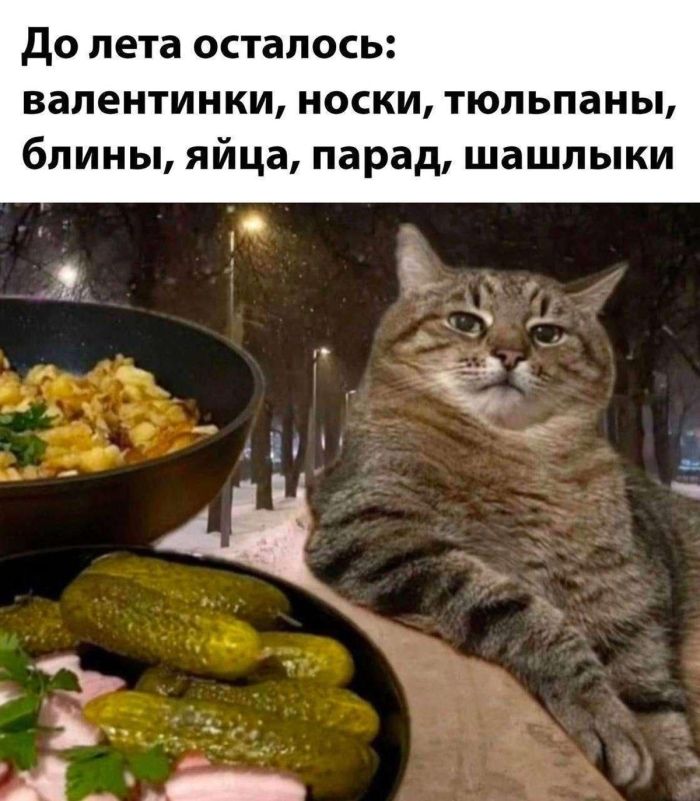 ���������! ������� ���� ��� ���������� (30 ����)