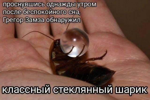 �������� ������� ����� � �������� (33 ����)