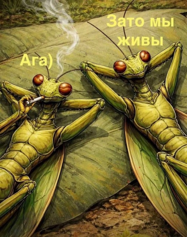 �������� ������� ����� � �������� (33 ����)