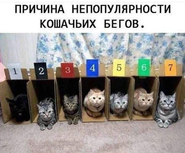 �������� ������� ����� � �������� (33 ����)