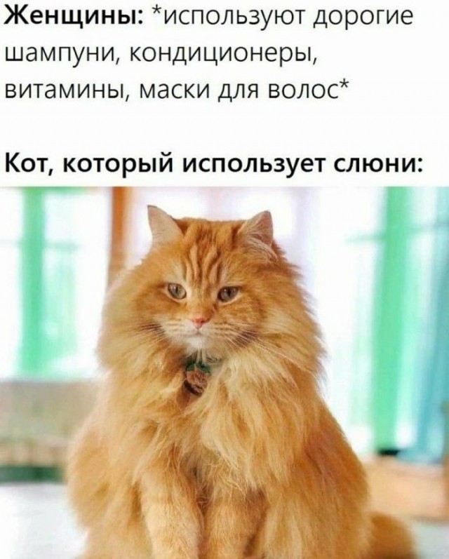 �������� ������� ����� � �������� (33 ����)