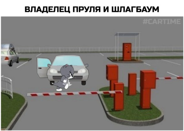 �������� ������� ����� � �������� (33 ����)