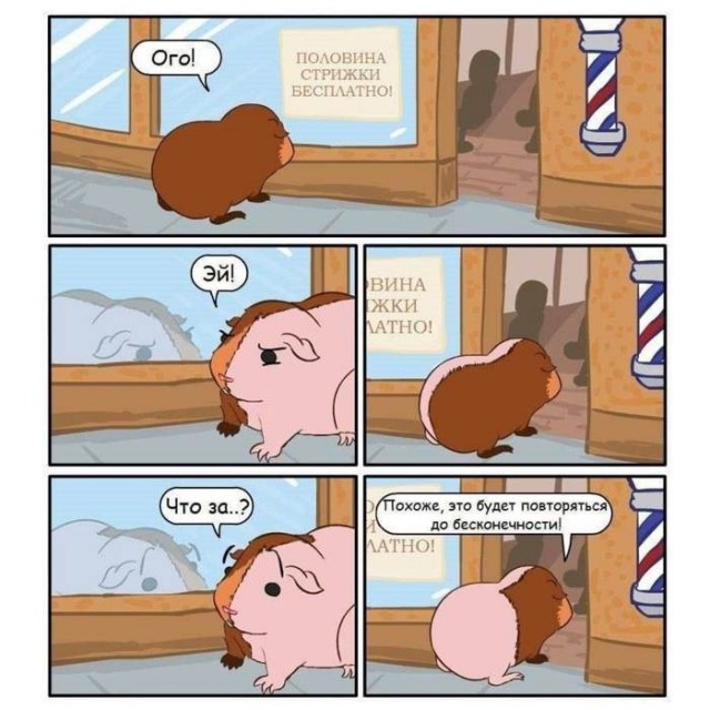 �������� ������� ����� � �������� (33 ����)