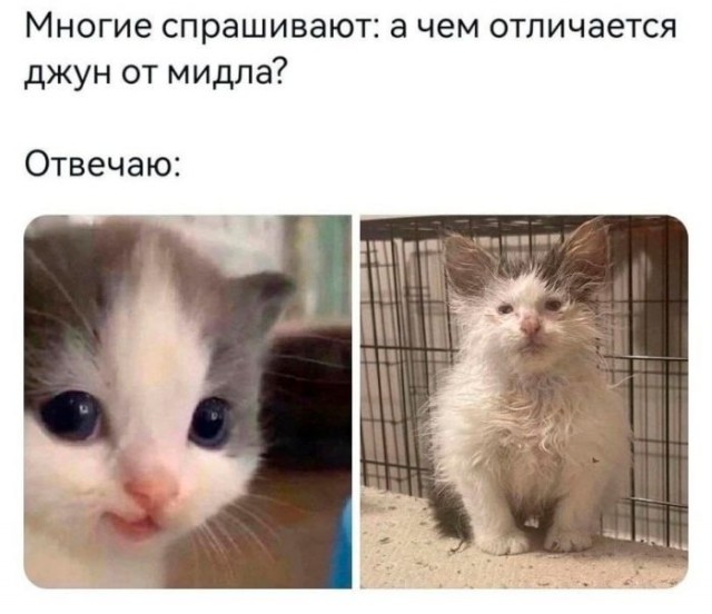 ���������! ������ ���� � ������� (35 ����)