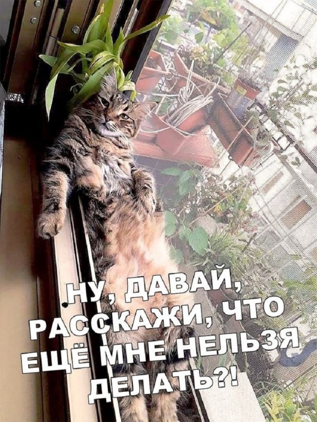 ���������! ������ ���� � ������� (35 ����)