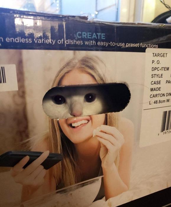 ���������! ������ ���� � ������� (35 ����)