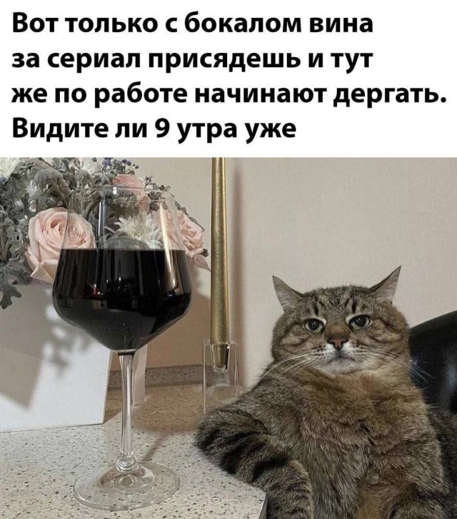 ���������! ������ ���� � ������� (35 ����)