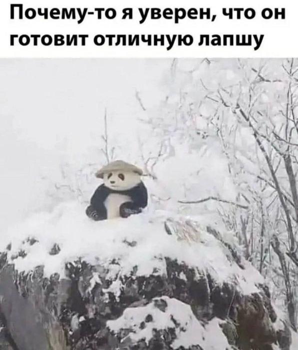 ���������! ������ ���� � ������� (35 ����)