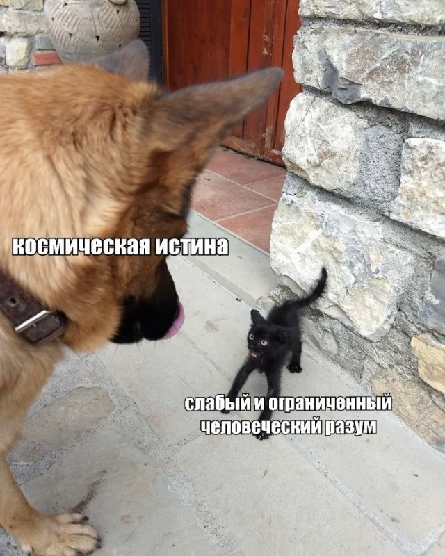 ������� �������� � ����� �� ���� (30 ����)