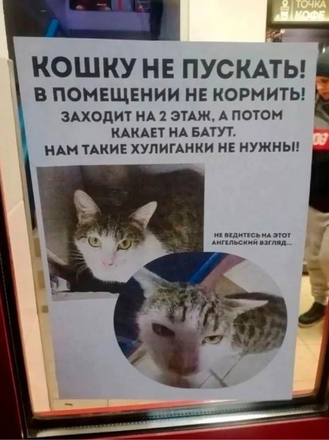 ������� �������� � ����� �� ���� (30 ����)