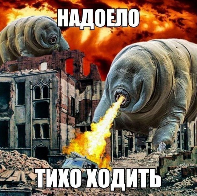 �������� ����� � �������� �� ���� (30 ����)