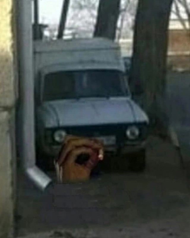 �������� ����� � �������� �� ���� (30 ����)