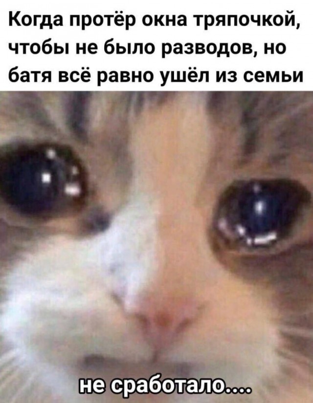 �������� ����� � �������� �� ���� (30 ����)