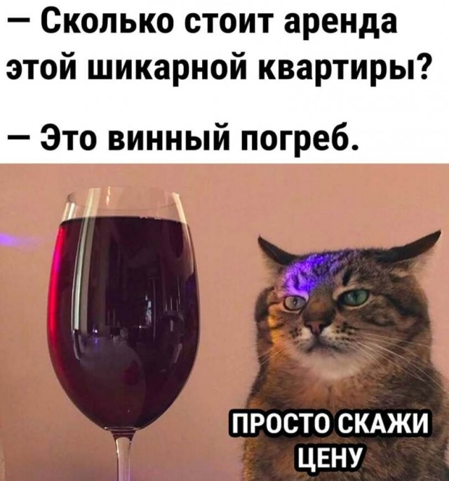 �������� ����� � �������� �� ���� (30 ����)