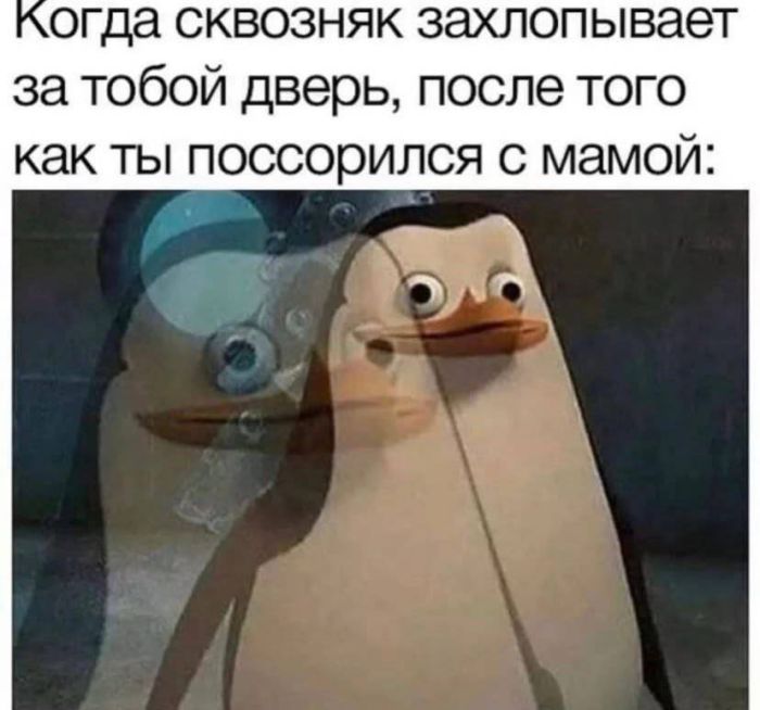 ������� ����� � �������� ��� ���������� (24 ����)