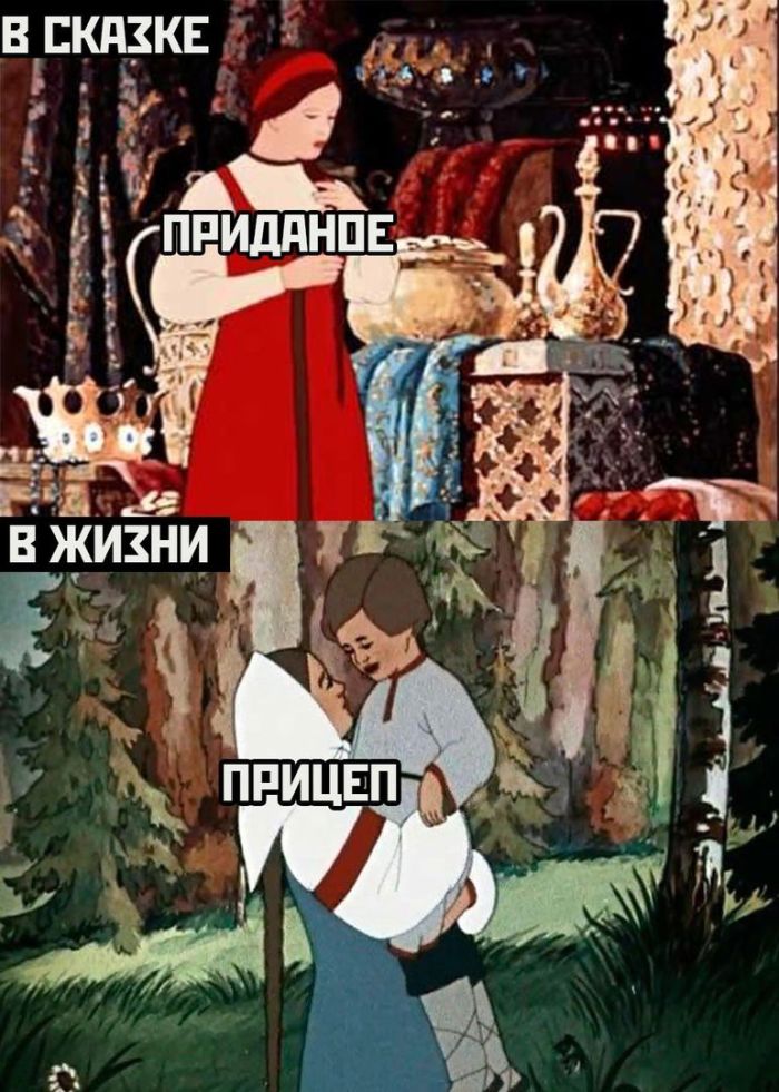 ������� ����� � �������� ��� ���������� (24 ����)