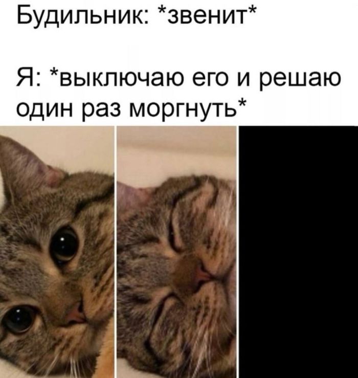 ������� ����� � �������� ��� ���������� (24 ����)