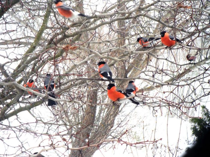 ������� ����� � �������� ��� ���������� (24 ����)