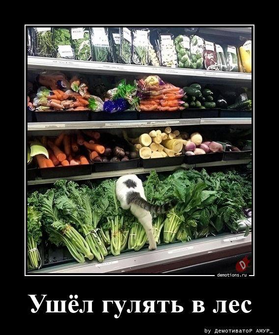 ������������ ����� (18 ����)