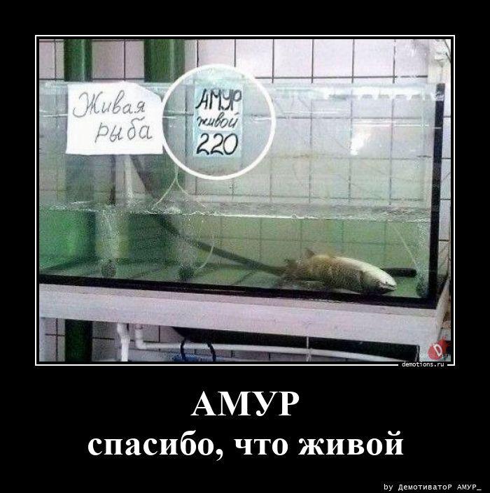 ������������ ����� (18 ����)