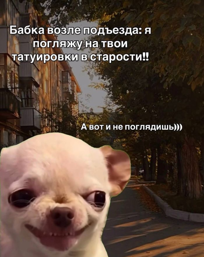 ���������! �������� ������ �������� ��� ���������� (23 ����)