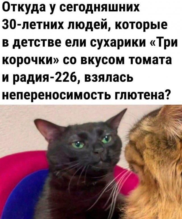 ������ ���� � ������� �� ���� (35 ����)