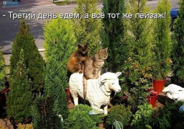 ������ ���� � ������� �� ���� (35 ����)