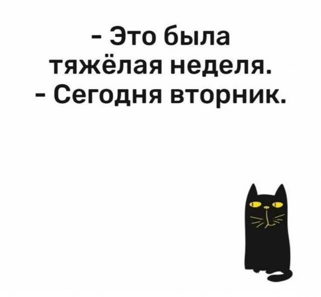 ������ ���� � ������� �� ���� (35 ����)