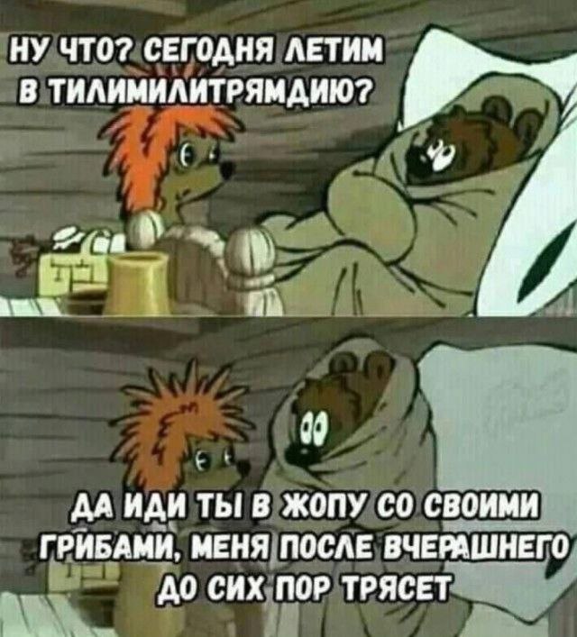 ������ ���� � ������� �� ���� (35 ����)