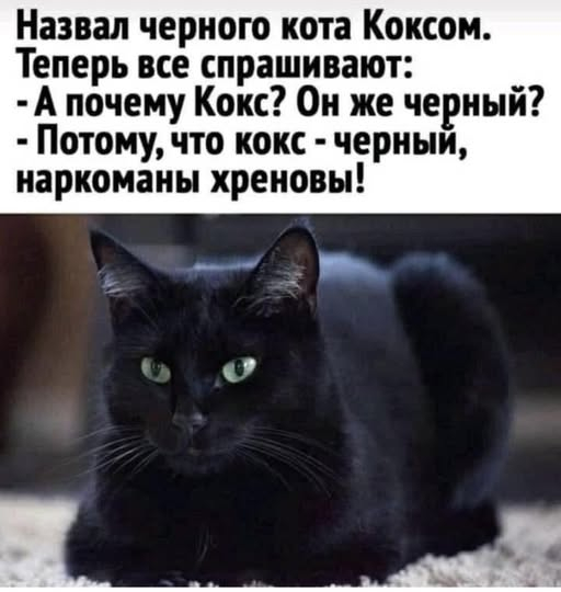 ������ ���� � ������� �� ���� (35 ����)