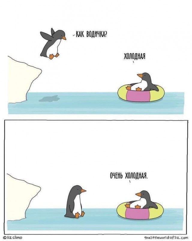 ������ ���� � ������� �� ���� (35 ����)