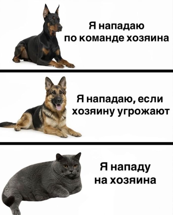 ������� ����� � �������� �� ���� (26 ����)