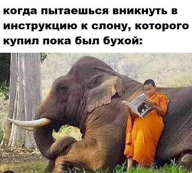 ������� ����� � �������� �� ���� (26 ����)