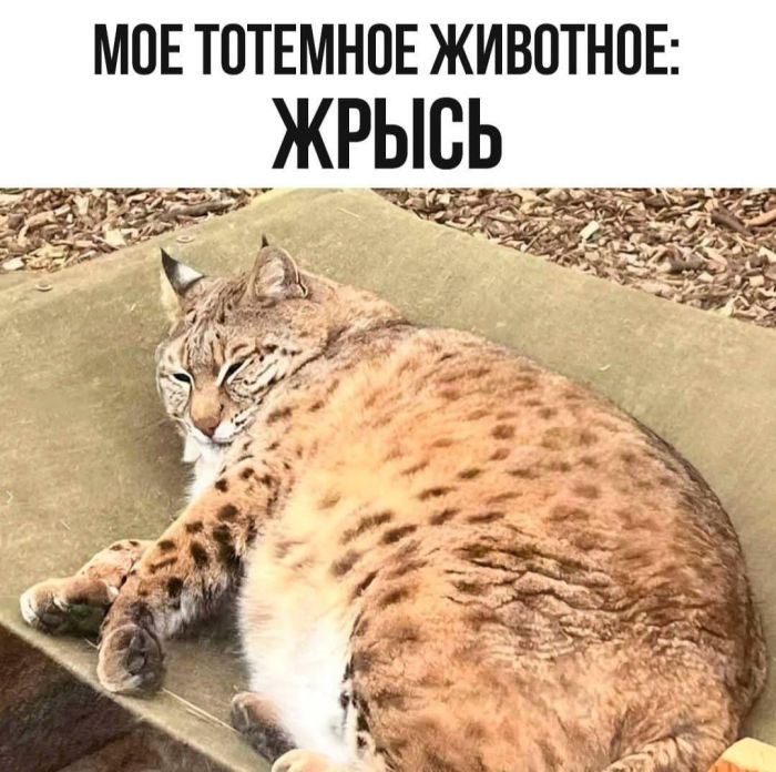 ������� ����� � �������� �� ���� (26 ����)