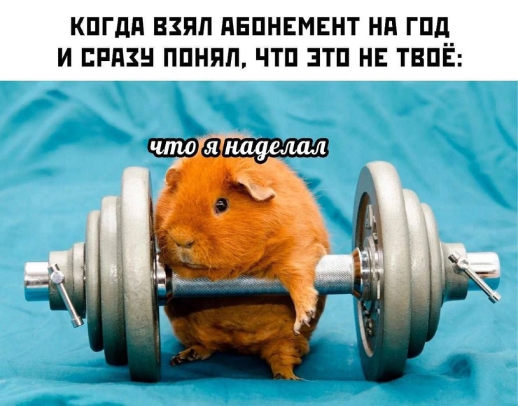 ������� ����� � �������� �� ���� (26 ����)